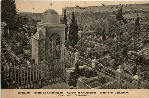 Jerusalem - Jardin de Gethsemanie -498138
