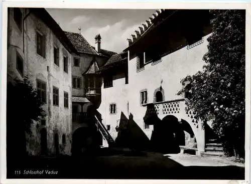 Schlosshof Vaduz -498238