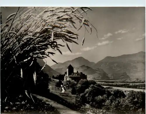 Schloss Vaduz -498236