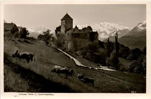 Schloss Vaduz - Liechtenstein -498276