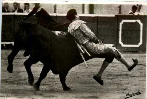 Cogida - Dangerous accident of the bullfighter -497974