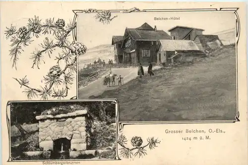 Grosser Belchen -498440