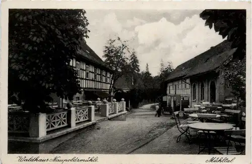 Waldhaus Naupoldsmühle im Mühltal, Eisenberg -379052