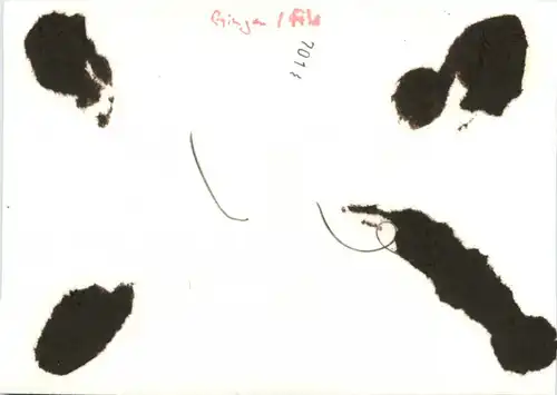 Gingen an der Fils -498614