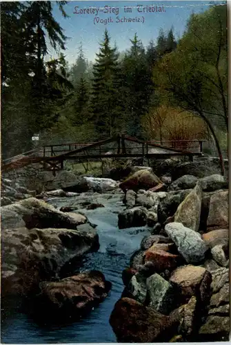 Loreley-Steg im Triebtal -379572