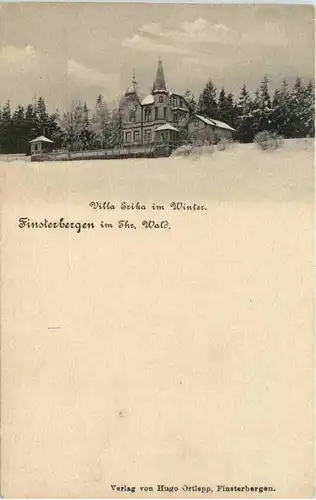 Finsterbergen - Friedrichroda - Villa Erika im Winter -464484