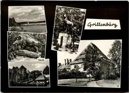 Grillenburg, div. Bilder -398618