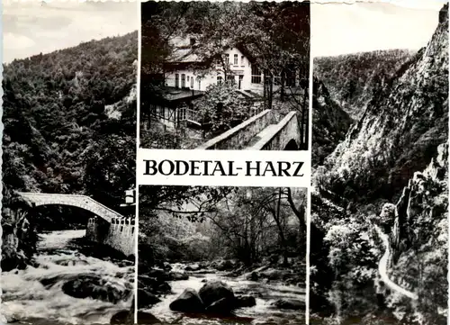 Bodetal Harz, div. Bilder -398766