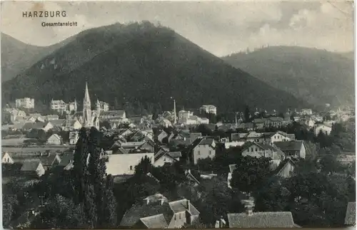 Harzburg, Gesamtansicht -399268