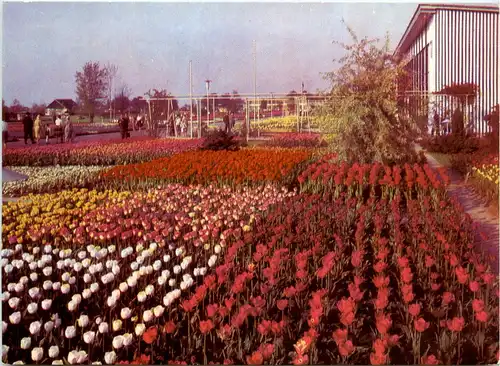 Erfurt, Intern. Gartenbauausstellung -399482