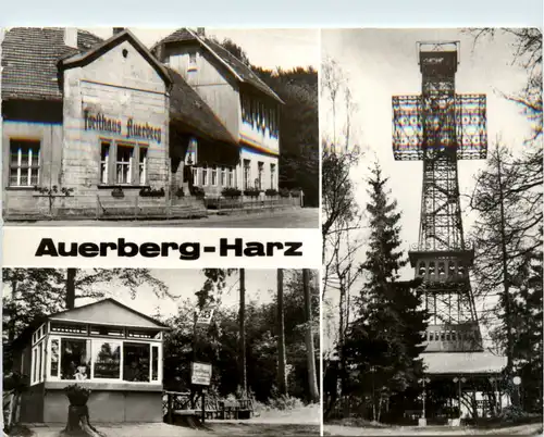 Auerberg - Harz, div. Bilder -399070