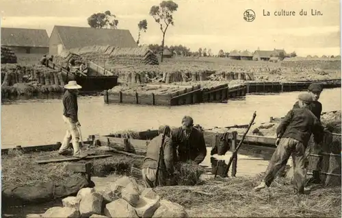 La culture du Lin -465304
