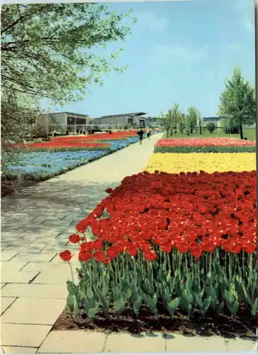 Erfurt, Intern. Gartenbauausstellung -399426