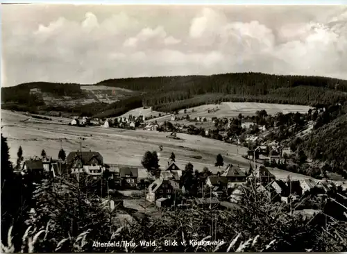 Altenfeld, Thür.Wald, Blick v. Königswald -399530