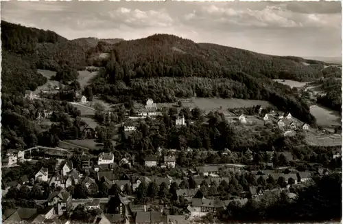 Bad Lauterberg im Harz, Villenviertel -399804