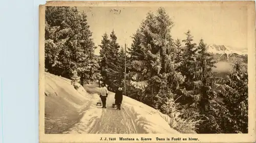 Montana sur Sierre - Dans la Foret en hiver -466044