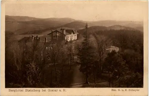 Berghotel Steinberg bei Goslar -500538