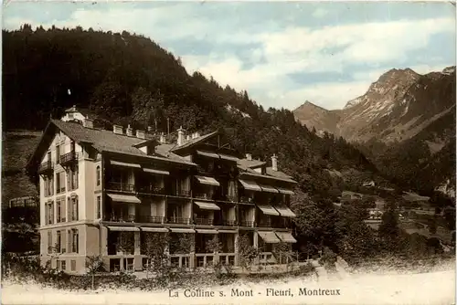 Fleuri-Montreux - La Colline s Mont -466818