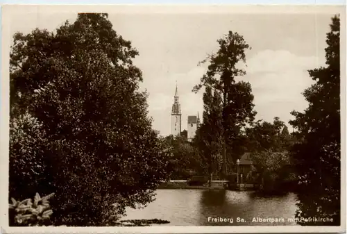 Freiberg, Albertpark mit Petrikirche -501158