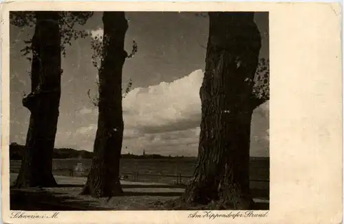 Schwerin, am Hippendorfer Strand -501198