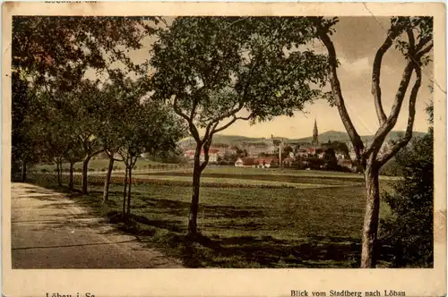 Löbau, Blick vom Stadtberg -382916