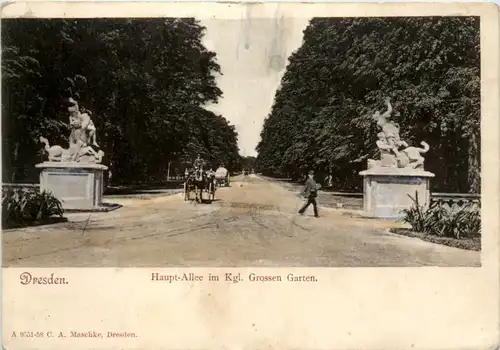 Dresden, Haupt-Allee im Kgl. Grossen Garten -501882