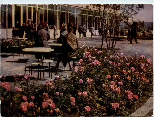 Erfurt, Intern. Gartenbauausstellung -399480