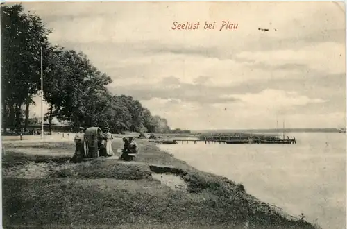 Seelust bei Plau -501348