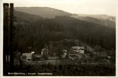 Wald-Bärenburg, Schäfermühle -501376