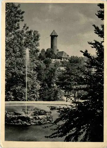 Auerbach i. V., Blick auf das Schloss -502236