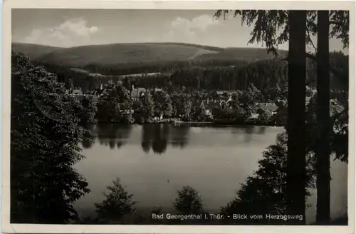 Bad Georgenthal, Blick vom Herzogsweg -399738