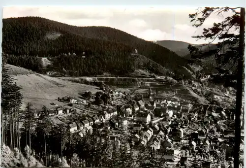 Kurort Lautental Harz, Blick vom Bielstein -399818