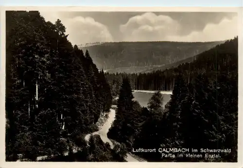 Kurort Calmbach im Schwarzwald, Partie im kleinen Enztal -501054