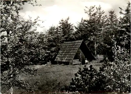 Zinnwald im Erzgebirge, NSG Georgenfelder Hochmoor -501660