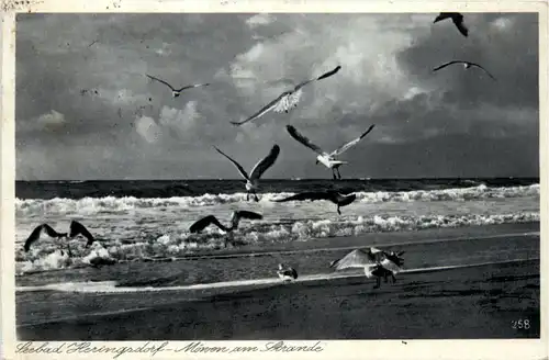 Seebad Heringsdorf, Möwen am Strand -501234