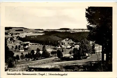 Cämmerswalde i. Erzgebirge, Schwartenberggebiet -501494