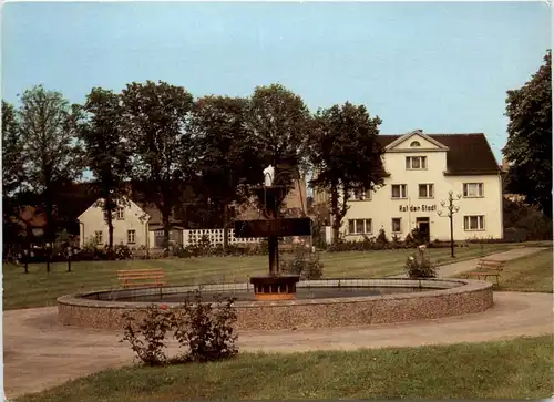 Falkenberg/Elster, Marktplatz -501974