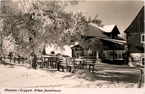 Nassau/Erzgeb., Altes Forsthaus -502580