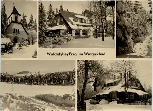 Waldidylle/Erzgeb. im Winterkleid -502600