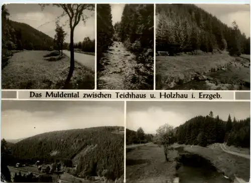 Das Muldental zwischen Teichhaus u. Holzhau i. Erzgeb. -501674