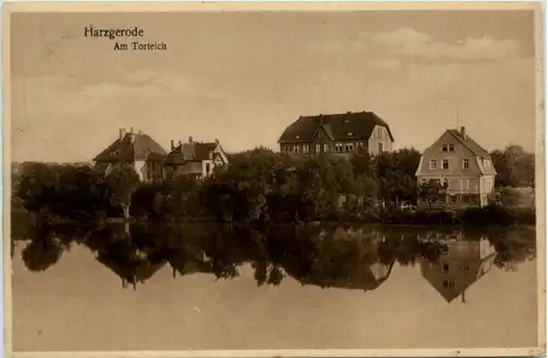 Harzgerode, Am Torteich -503046