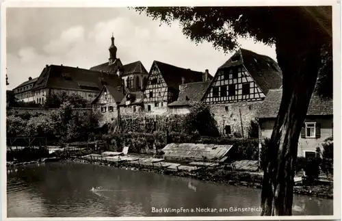 Bad Wimpfen am Neckar - am Gänseteich -600028