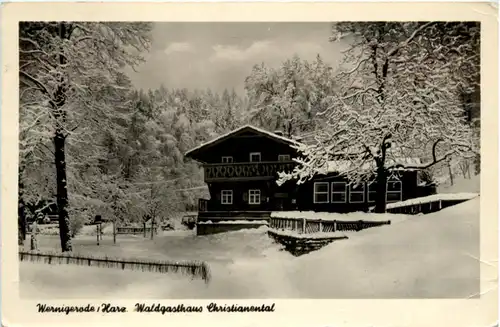 Wernigerode, Waldgasthaus Christianental -503022