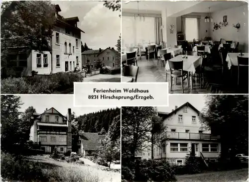 Hirschsprung/Erzgeb., Ferienheim Waldhaus -502588