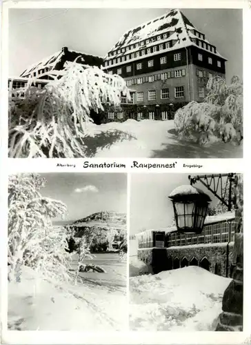 Altenberg, Sanatorium Raupennest, div. Bilder -502796