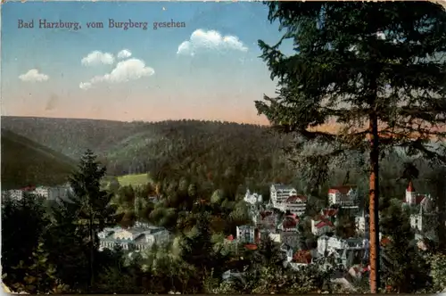 Bad Harzburg, Blick vom Burgberg -384946