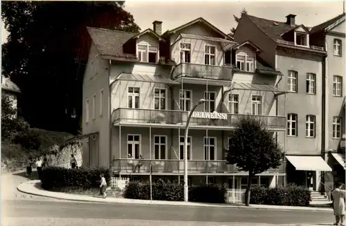 Bad Elster, Kurheim haus Edelweiss -503250