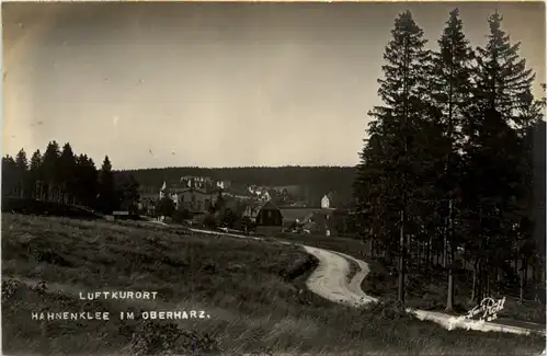 Hahnenklee im Harz, -501928