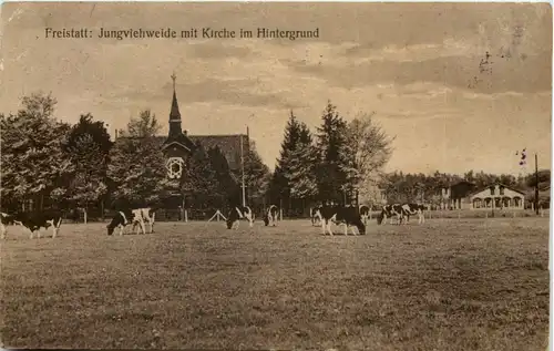 Freistatt - Jungviehweide mit Kirche -601294