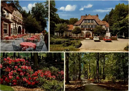 Dünsen - Hotel Waldfrieden -601290